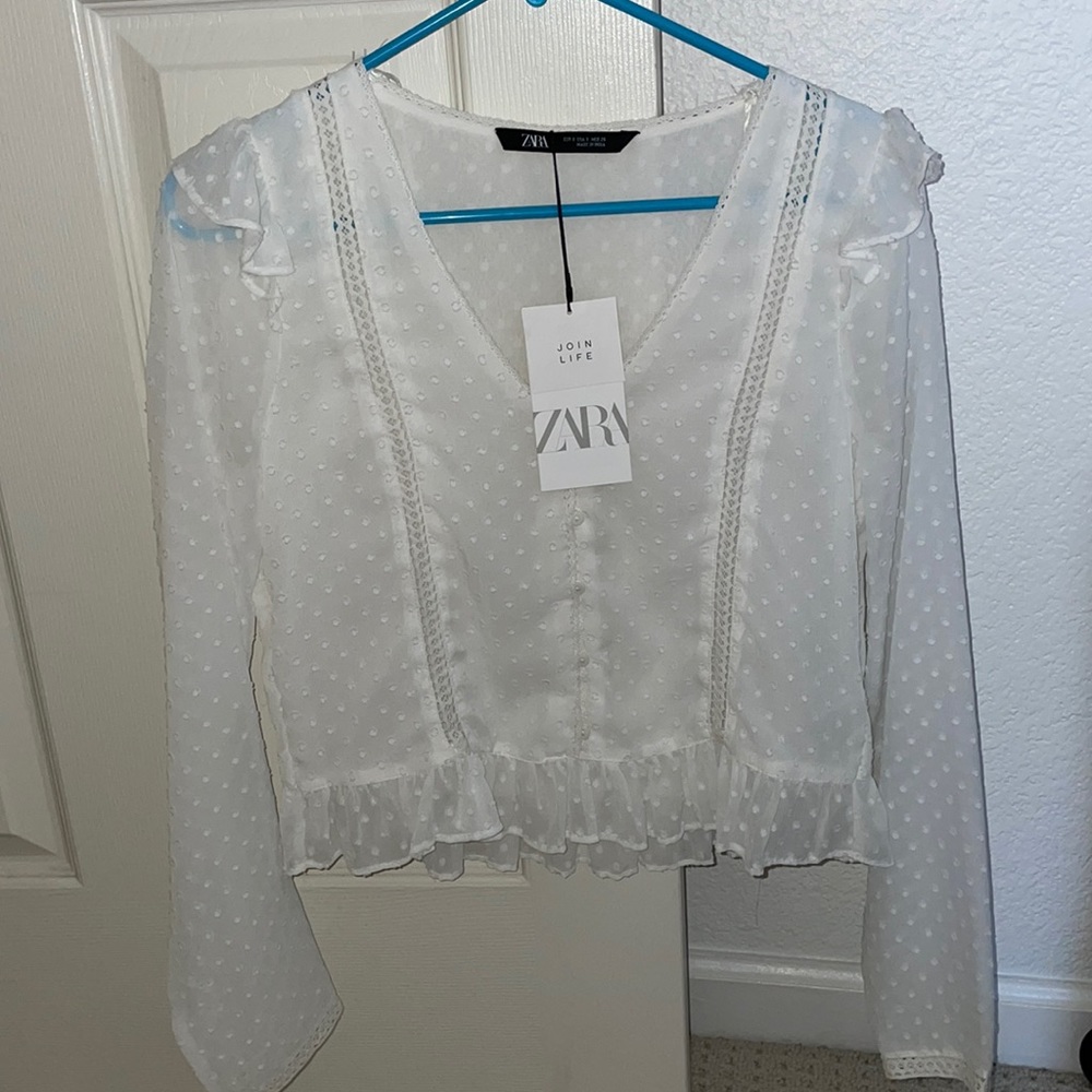 sheer Zara long sleeve top